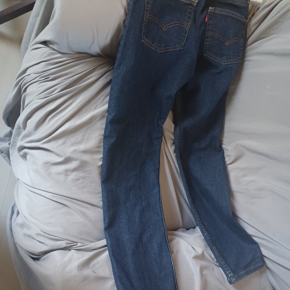 Levis - Picture 2 of 2